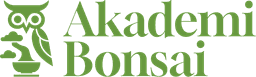 Akademi Bonsai